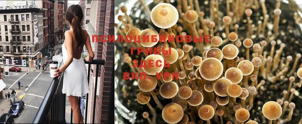 трава Абдулино