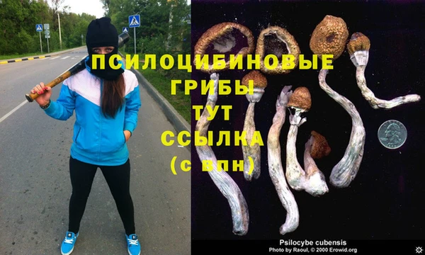трава Абдулино