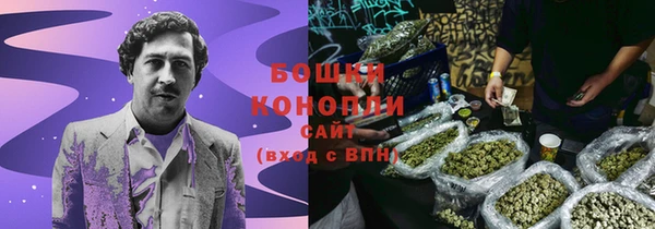 spice Алзамай