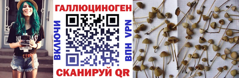 Галлюциногенные грибы MAGIC MUSHROOMS  Черноголовка 
